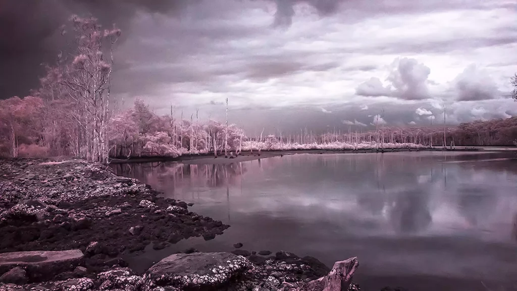 Image: Nicole Welch, Yarrahapinni (still), 2019, single channel HD infrared time lapse, 3:21mins, edition of 3. Courtesy the artist.